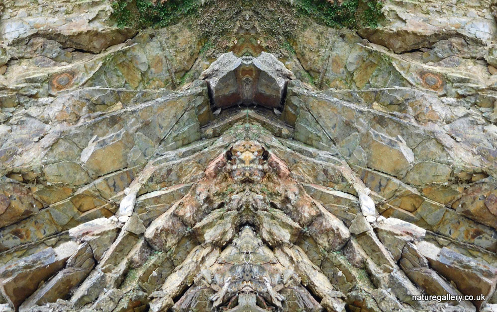 Nature Gallery