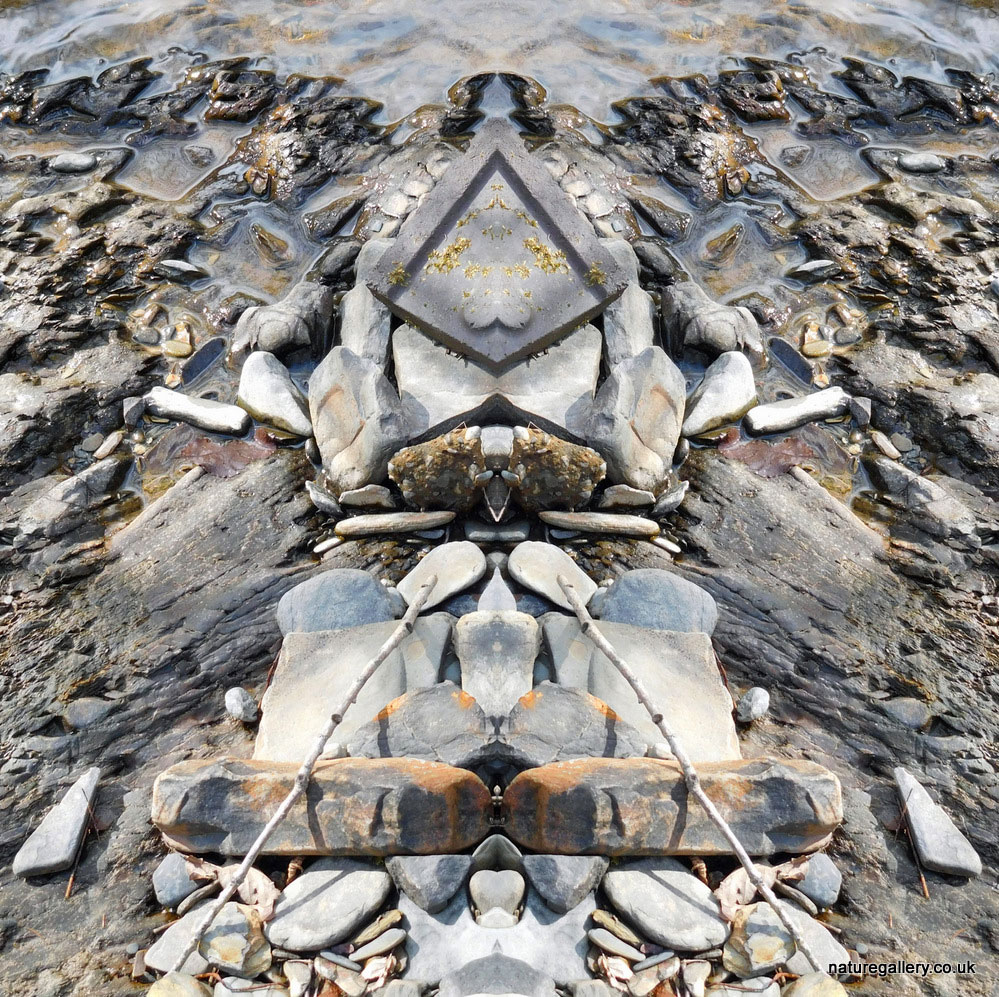 Nature Gallery