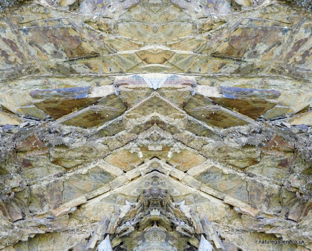 Nature Gallery