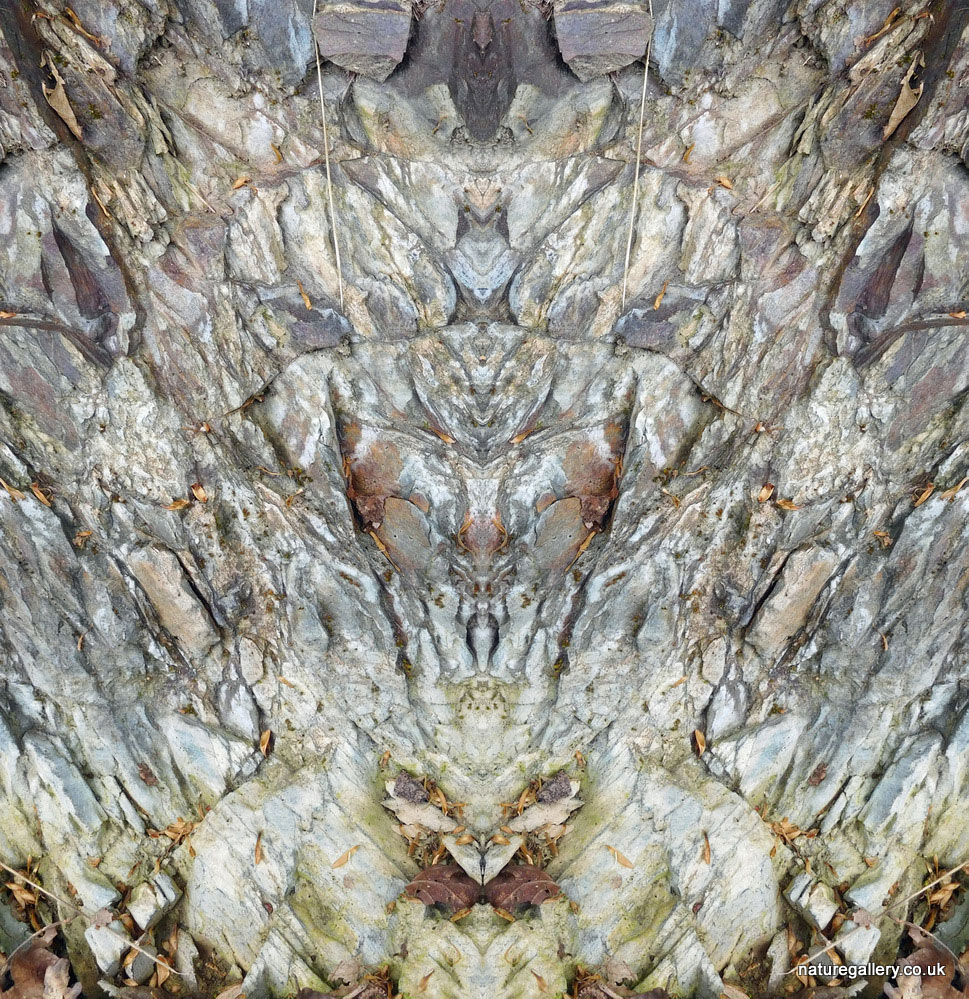 Nature Gallery