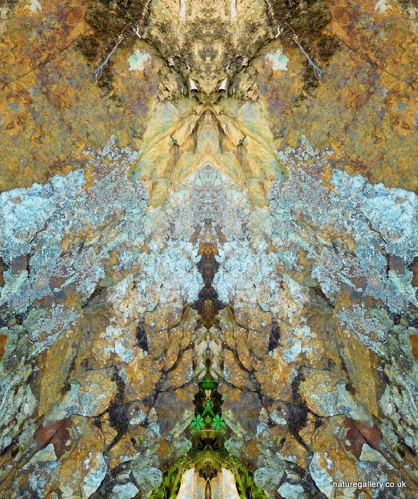 Nature Gallery