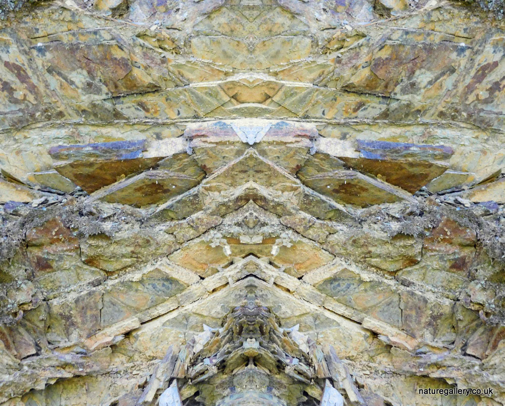 Nature Gallery