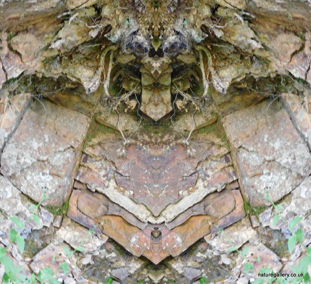 Nature Gallery