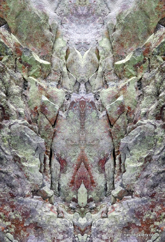 Nature Gallery