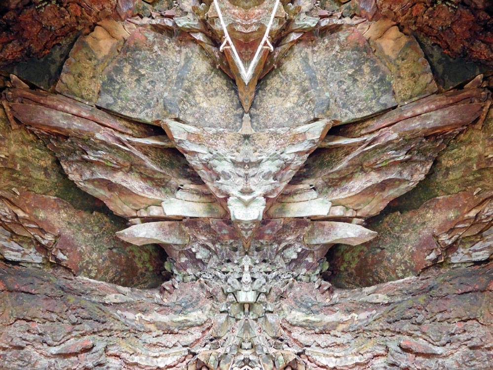 Nature Gallery