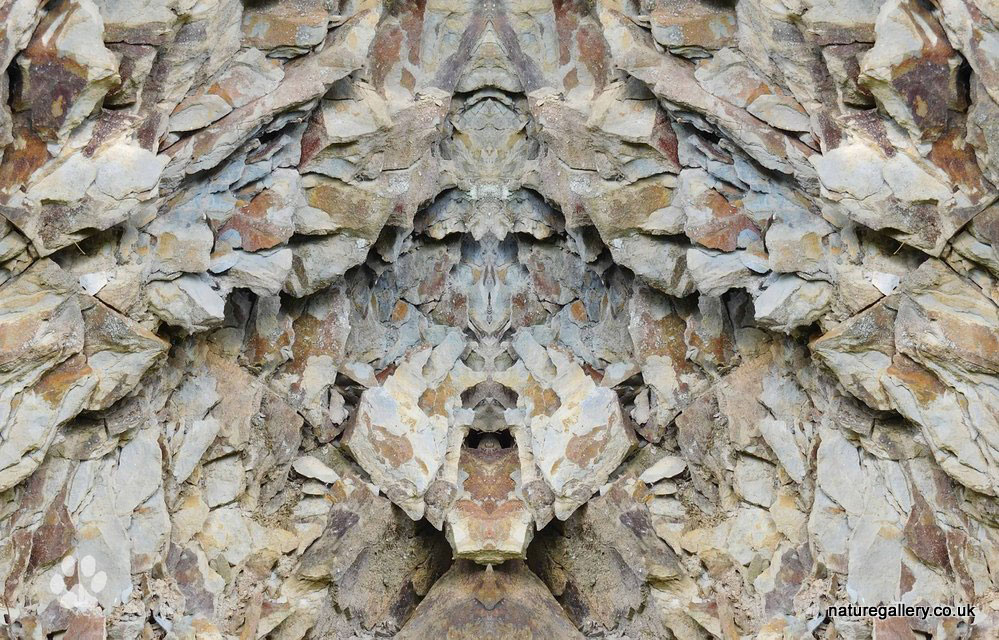 Nature Gallery