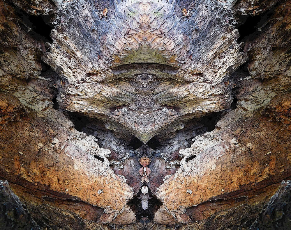 Nature Gallery