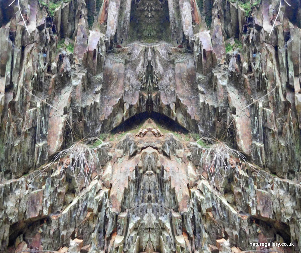Nature Gallery