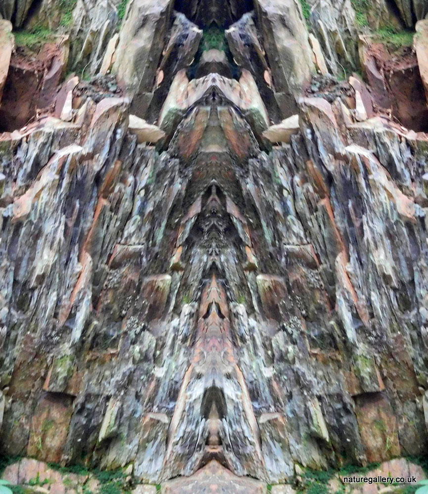 Nature Gallery