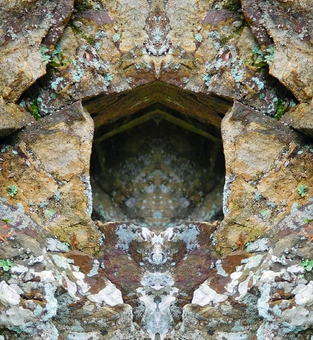 Nature Gallery