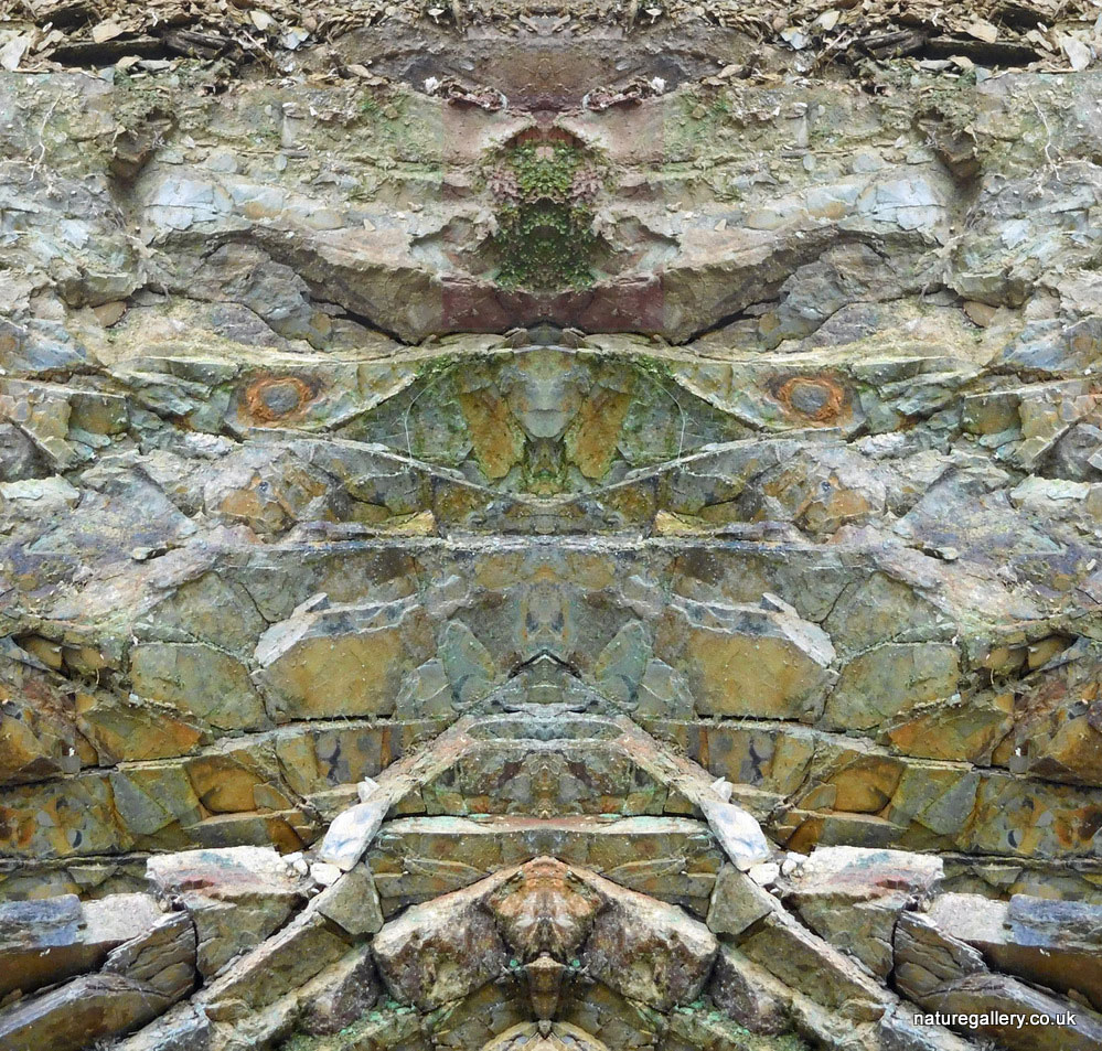 Nature Gallery