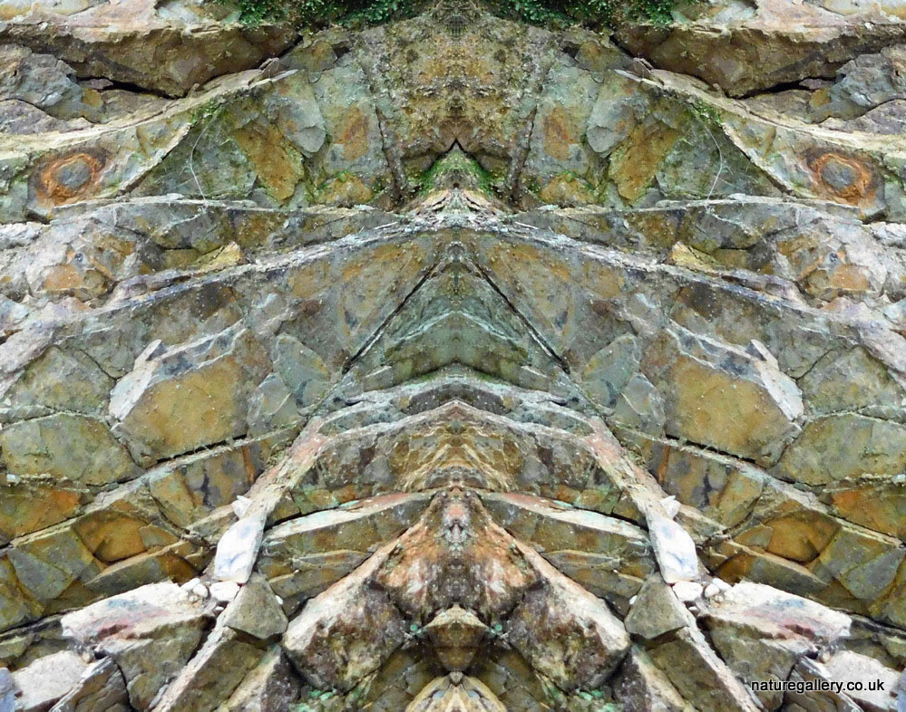 Nature Gallery