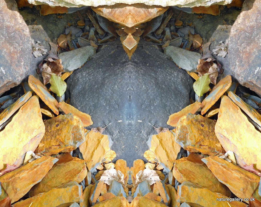 Nature Gallery