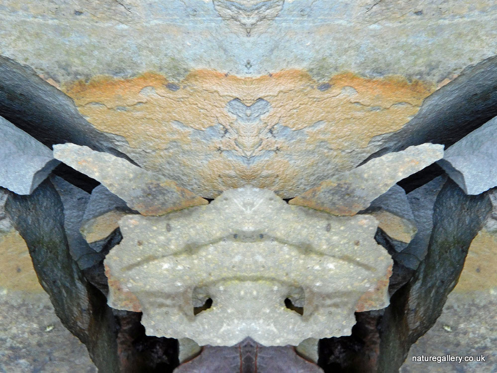 Nature Gallery