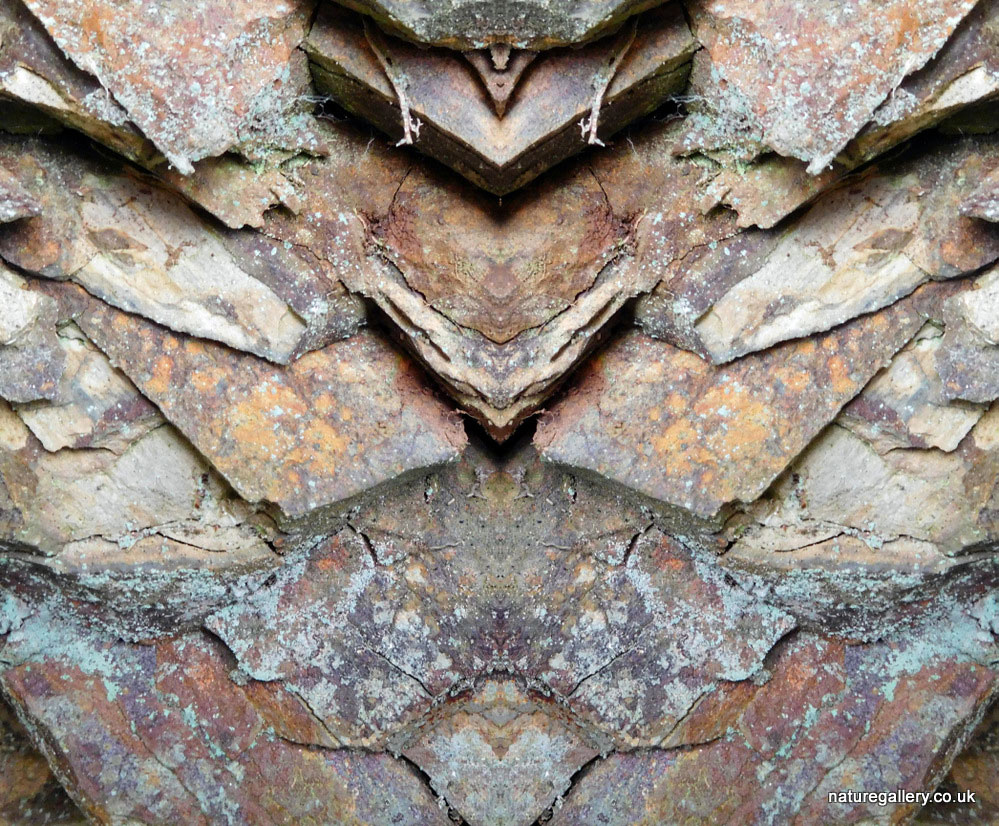 Nature Gallery