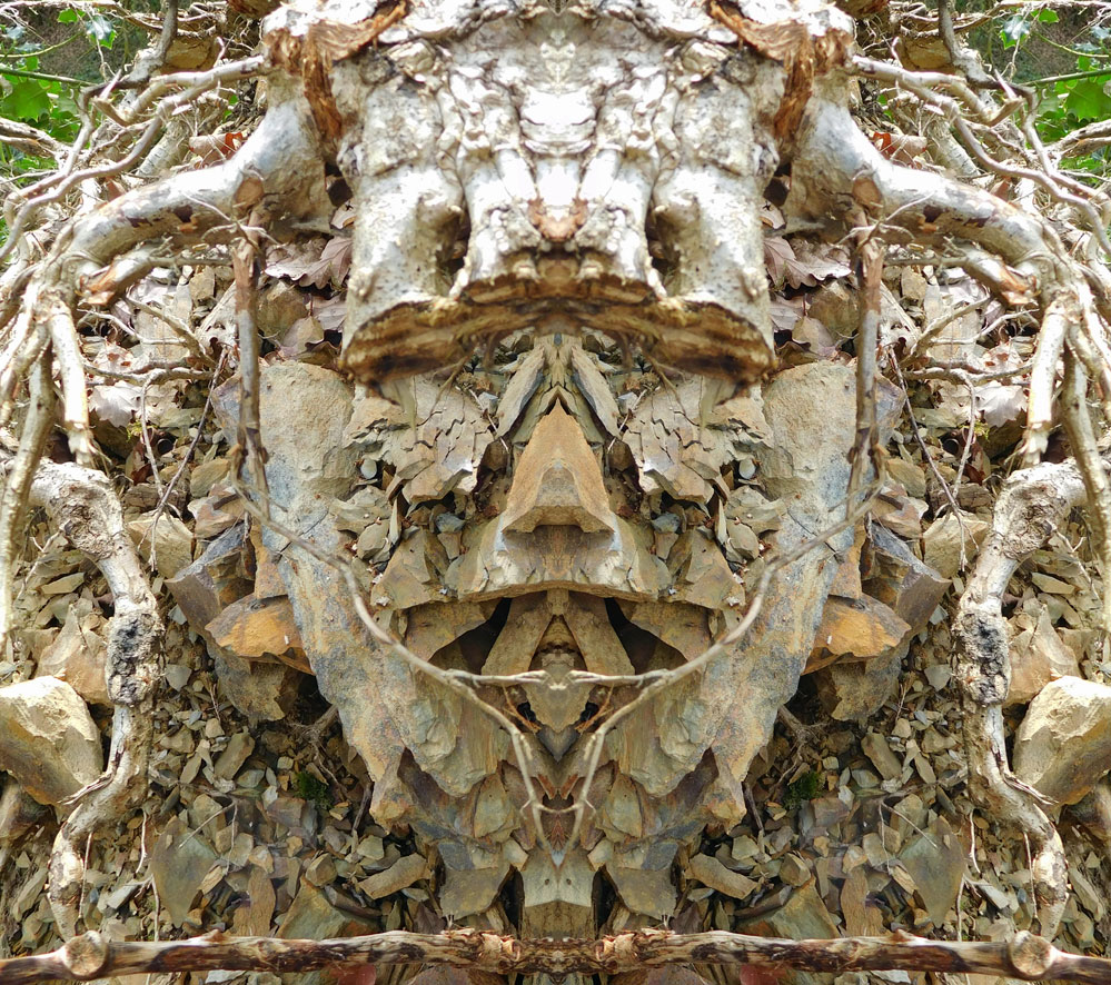 Nature Gallery