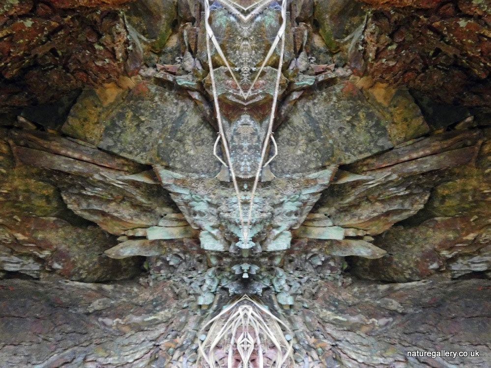 Nature Gallery
