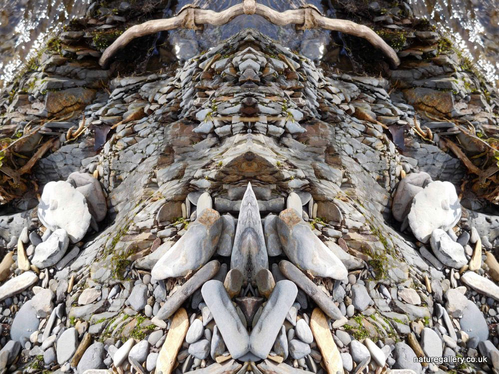 Nature Gallery