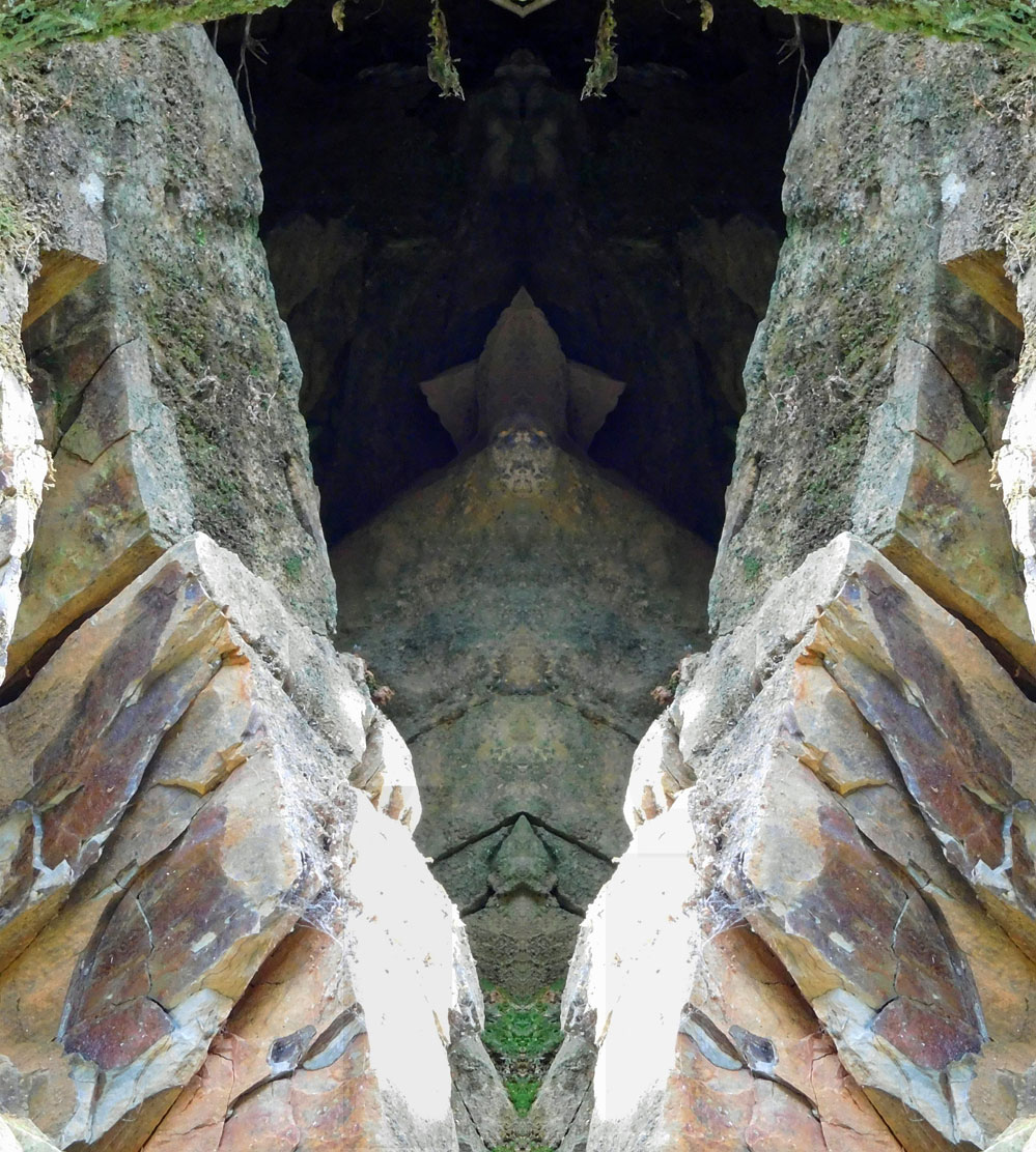 Nature Gallery