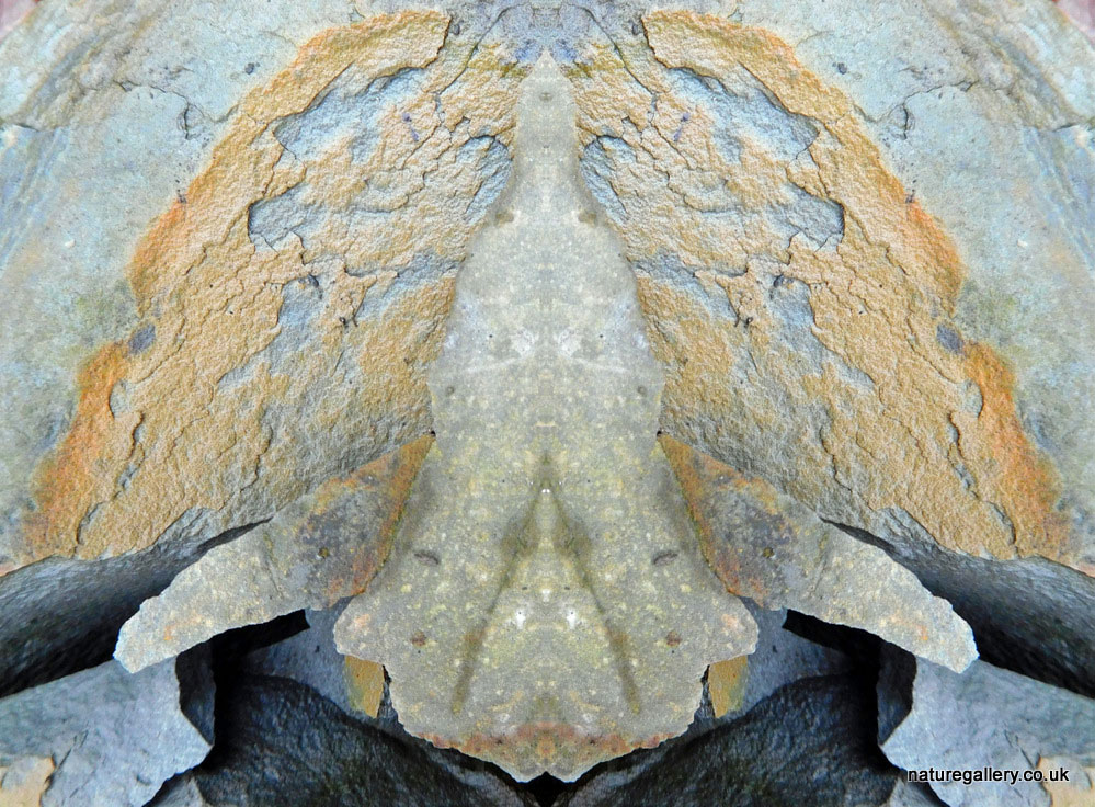 Nature Gallery