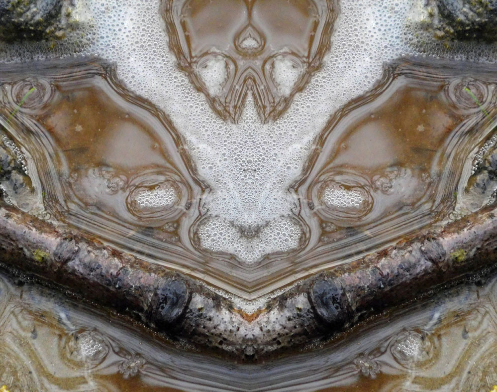 Nature Gallery