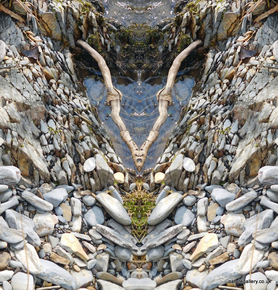Nature Gallery