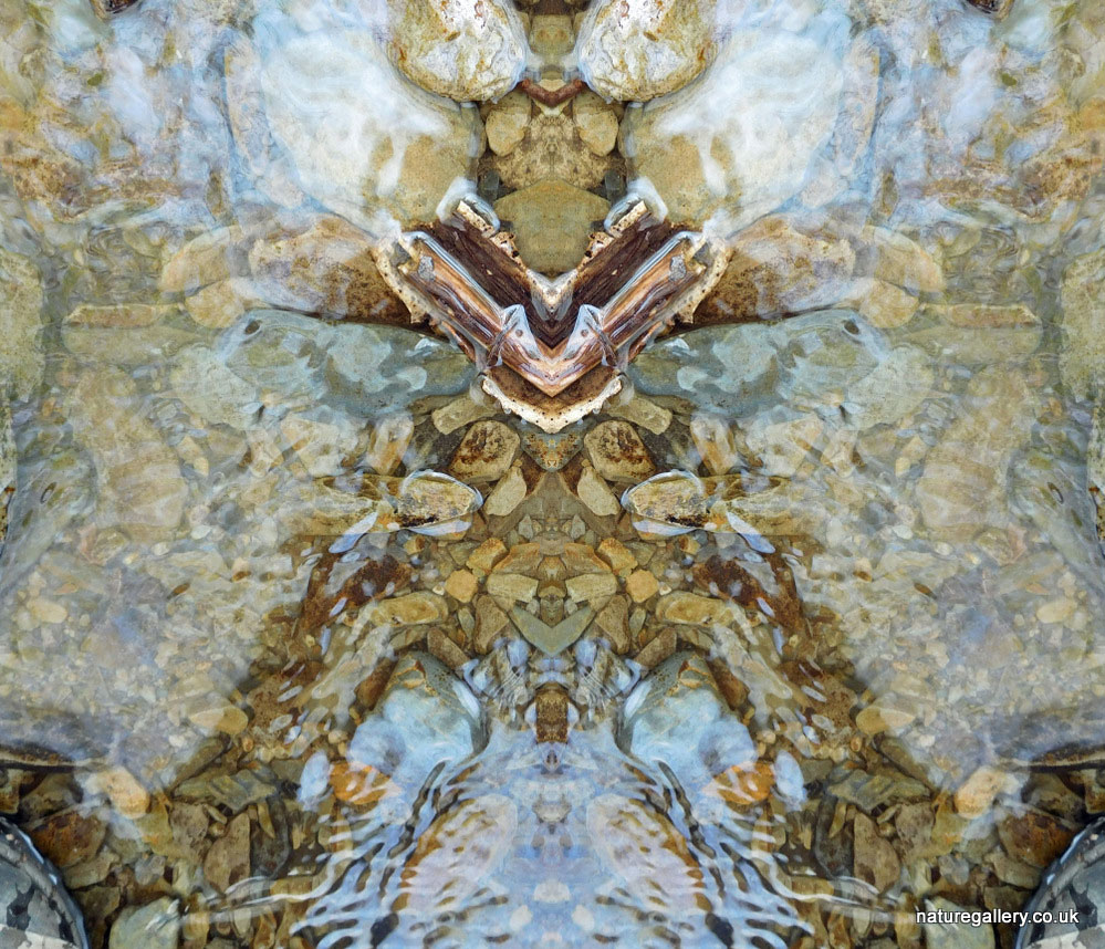 Nature Gallery
