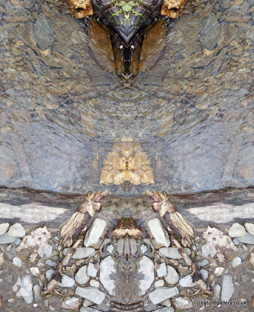 Nature Gallery