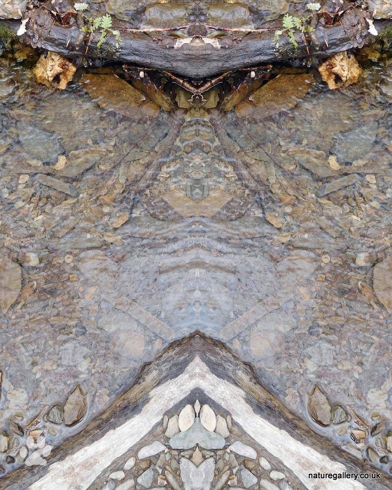 Nature Gallery