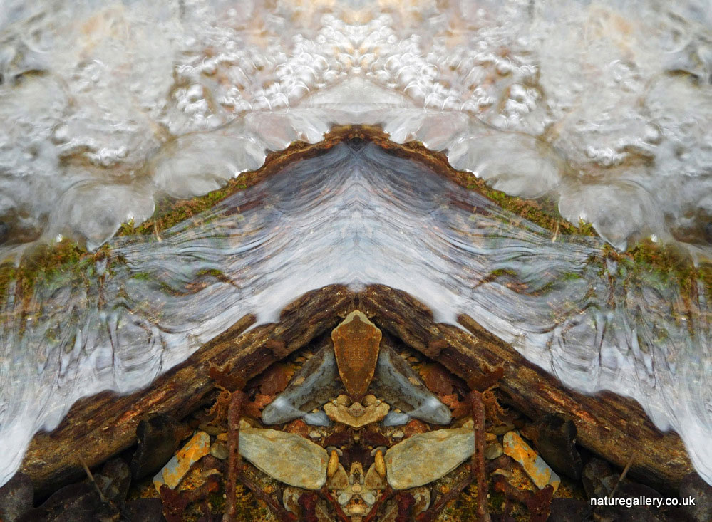 Nature Gallery