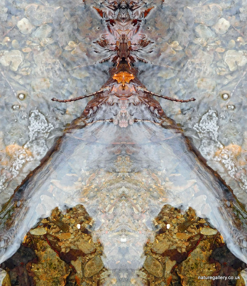 Nature Gallery