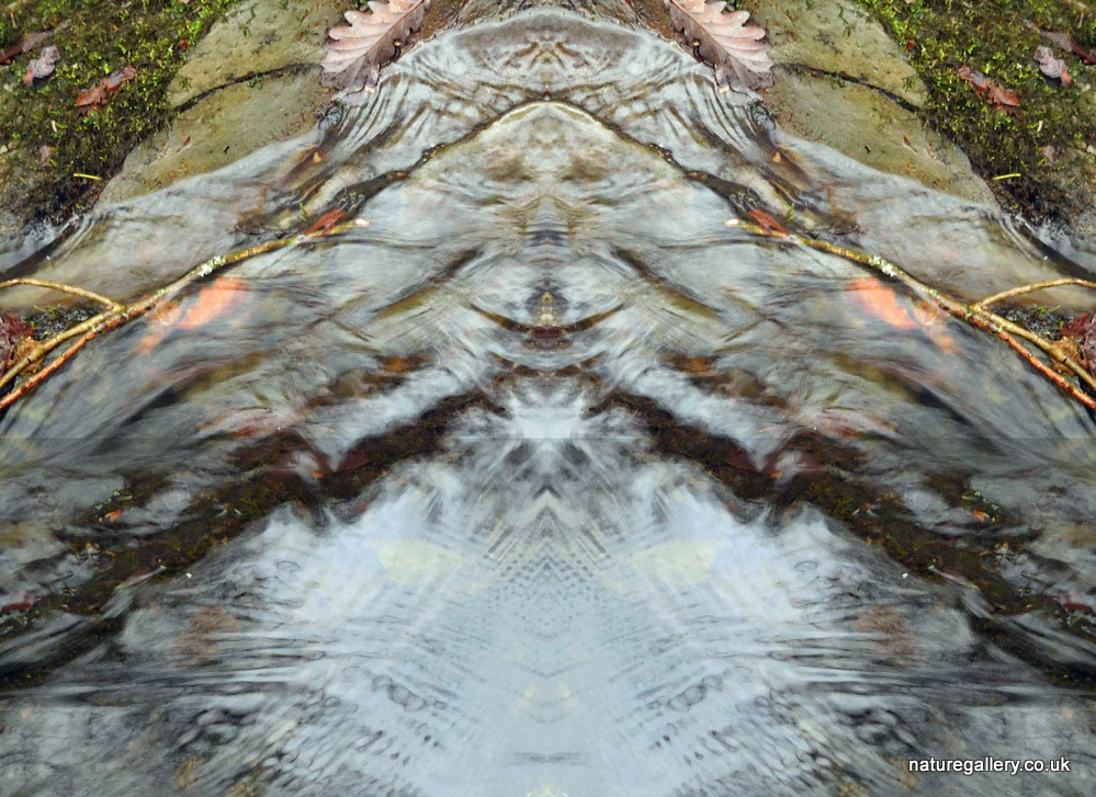 Nature Gallery