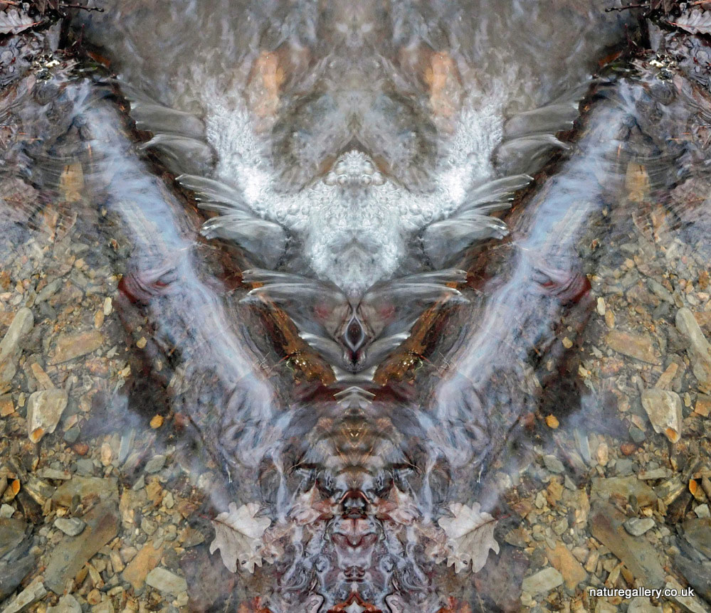 Nature Gallery