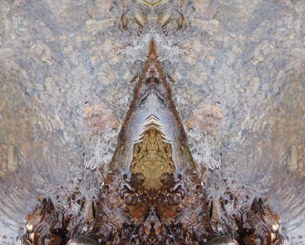 Nature Gallery